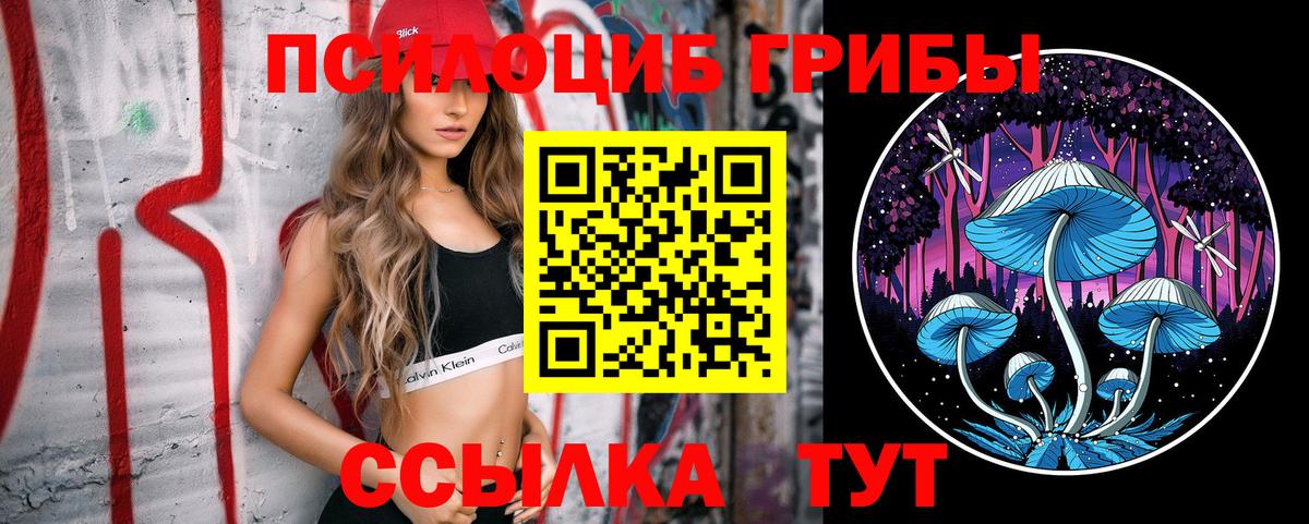 Псилоцибиновые грибы Magic Shrooms Ахтубинск